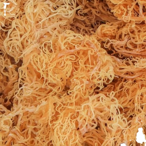 มอสทะเลแห้งจากเวียดนาม-ผลิตจากป่าธรรมชาติราคาถูก - Product Image 1