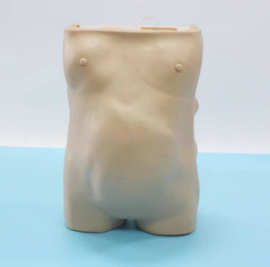 Tıbbi bilim için hamile kadınlar için bilgisayarlı anne muayene simülasyon modeli Prenatal Checkup jinekolojik sınav - Product Image 5