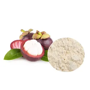 Fabriek Bulk Supply Mangosteen Fruit Poeder