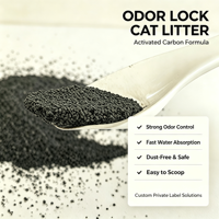 Litière pour chat en bentonite activée à prix d'usine OEM, agglomération rapide, faible poussière, contrôle des odeurs, sable pour chat personnalisé en gros