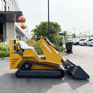 <span class=keywords><strong>Minicargadora</strong></span> barata con certificación EPA y CE, recortadora de setos, <span class=keywords><strong>minicargadora</strong></span>, mezcladora de hormigón, cargadora de orugas en venta - Product Image 5