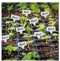 Plateau de semis pour la propagation, kit de démarrage de semis, plateau de pépinière rectangulaire réutilisable en PET pour le jardinage et la plantation