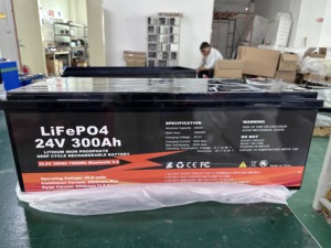 Fuyue 12V <b>24V</b> 100Ah 200Ah 280Ah 300Ah 400Ah 460Ah 600Ah Lithium Ion <b>Batteries</b> Pack JBD BMS for Solar Marine Off-Grid System - Product Image 3