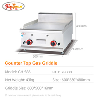 Grill à gaz professionnel en acier inoxydable pour hôtels et restaurants, plaque de cuisson plate, gril à gaz commercial