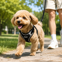 Harnais et laisse réfléchissants anti-traction pour chien, ensemble doux et réglable pour chiens de petite et moyenne taille