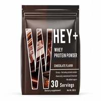 Poudre de protéines de lactosérum pour adultes JBY Factory Direct 500g, saveur chocolat classique, complément sportif riche en protéines pour la performance sportive