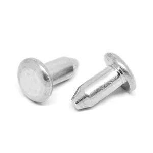 Custom Fastener Various Types Stainless Steel Polish Round Head Solid Semi Tubular Rivet