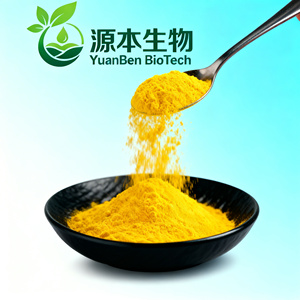 Polvere di Estratto di Curcuma Pura Naturale al 95% all'Ingrosso dalla Fabbrica, Estratto di Erbe Selvatiche in Polvere, Proteine del Riso - Product Image 2