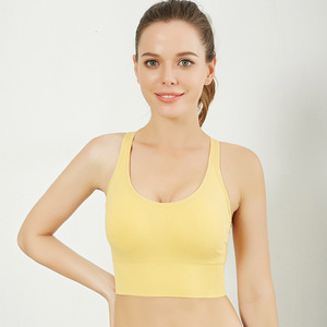 Aoyema Hauts croisés personnalisés pour femmes, sous-vêtements pour femmes, lingerie push up, sport, soutiens-gorge sans couture - Product Image 3