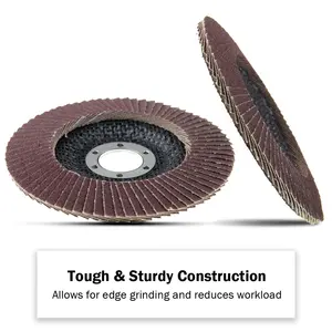 High Quality 100mm Abrasives Aluminium Oxide Disc Flap Disc For Polishing