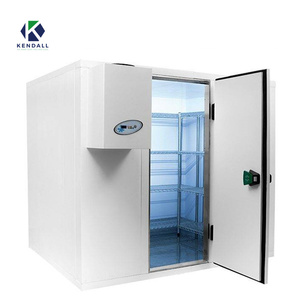 Cámaras <span class=keywords><strong>de</strong></span> congelación Cámara <span class=keywords><strong>de</strong></span> congelación Froide Congelador Compresor Habitaciones Refrigerador Contenedores para carne - Product Image 2