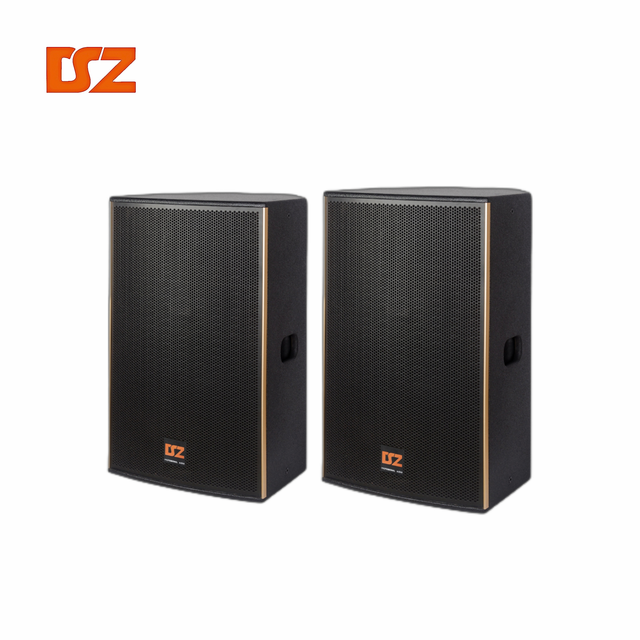 DSZ Single 10 Inch 250W-800W Full Range Speaker Audio System for Outdoor Stage and Indoor Performance
