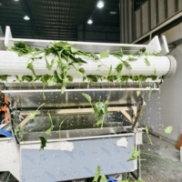 Hexu Aanpasbare Multifunctionele Wasautomaat voor Groenten, Fruit, Koffiebonen, Noten, Mais, Granen en Spinazie met Pomp