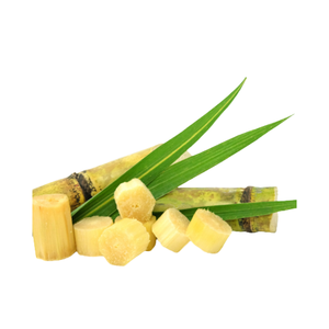 IQF Frozen Sugarcane Smooth Supply Chain Integration for Wholesalers and Foodservice Chains Packed in Bulk - Product Image 1