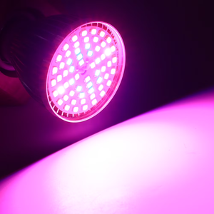 Lámpara LED de espectro completo <span class=keywords><strong>para</strong></span> <span class=keywords><strong>cultivo</strong></span> de plantas, 60W, 60LED, E27, AC85-265V, <span class=keywords><strong>para</strong></span> plantas de interior, <span class=keywords><strong>cultivo</strong></span> hidropónico de flores - Product Image 2