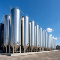 Cuve de fermentation conique en acier inoxydable 10T 20T 30T pour la bière
