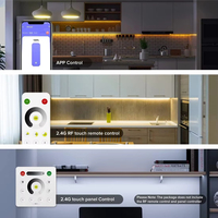 Bande LED COB à effet d'eau courante 5M 10M 20M Blanc Chaud avec Contrôleur Tactile Banlanx APP SP636E et Télécommande Murale RF pour Décoration Lumineuse