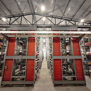 Giá rẻ nhất giá vịt lồng vịt lớp Lồng cho 10000 vịt gia cầm trang trại - Product Image 3