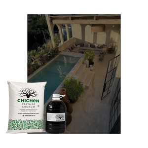 Espejo de Agua Moderno para Patio Interior con Revestimiento de Yeso Chukum Natural, Acabado Arquitectónico para Residencias Contemporáneas - Product Image 1