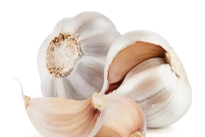 <span class=keywords><strong>Ail</strong></span> blanc frais pur ou ordinaire, ainsi que des légumes frais, vendus en gros depuis la Chine pour l'exportation. - Product Image 2