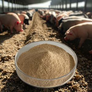 Sığır sütü ekstresi proteini ve demir destek bağışıklığı laktoferin tozu fiyatı artan üretim için düşük - Product Image 5