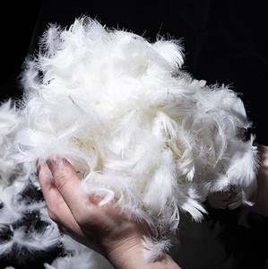 Pluma de ganso lavada, Material de relleno de plumas blancas/grises, calidad prémium, 4-6Cm/<span class=keywords><strong>2</strong></span>-4Cm - Product Image 5