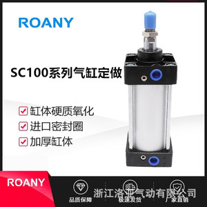 Cylindre pneumatique Roany série Sc100, sur mesure, corps en aluminium non standard - Product Image 1