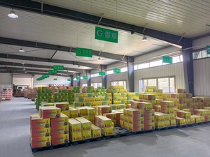 Khả năng chịu nhiệt không co ngót vẻ đẹp đường may đại lý Epoxy gạch vữa cho khoảng cách Điền - Product Image 4