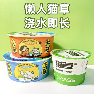 Semillas de hierba para gatos mezcladas en caja de fideos instantáneos, fáciles de cultivar, salud digestiva, snack para gatos - Product Image 4