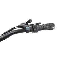 Vélo Tout Terrain Électrique à Suspension Intégrale 29 Pouces, VTT Électrique 36V 48V 250W 1000W pour Tous Terrains