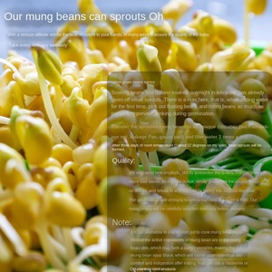 Northeast Farmhouse Small Self-produced <strong>Kosher</strong> Dry Sweet Mung Bean Sprouting 1Kg Multi-specification - Product Image 4