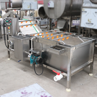 Automatische bubbelwasmachine voor fruit en groenten met motor, 304 roestvrij staal, energiebesparend, voor maïsverwerking