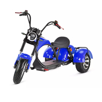 Triciclo eléctrico de tres ruedas, 1000w