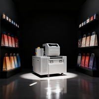 Printer Digital Mini SC300 Single Pass 30cm A3 Tinta Air Kecepatan Tinggi untuk Pencetakan Kantong Kertas, Kotak, Kemasan, dan Lembaran Kayu