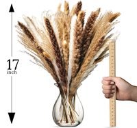 100pcs Set Rumput Pampas Boho Bunga Kering Dekoratif dan Tanaman Bunga Kering Yunnan Centerpiece Buket Grosir untuk Dekorasi Rumah