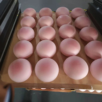 Jouet Squishy Pain de Miel Doux et Moelleux, Grand Format, à Rebond Lent, Style Alimentaire Réaliste, Anti-stress, Mini Jouet en Pâte Collante et Humide