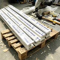 Profilé UPVC blanc co-extrudé avec joint d'étanchéité en caoutchouc, parfait pour améliorer l'étanchéité aux intempéries des fenêtres