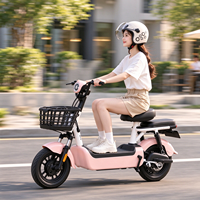 Sepeda Listrik 48V 12AH 14 Inci untuk Komuter Kota dengan Keranjang, Kursi Ganda, Pedal Assist, Baterai Lepas Pasang untuk Dewasa