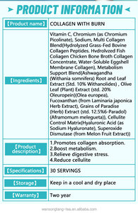 קולגן winstown עם לשרוף חילוף חומרים צלוליטיס שליטה העור בריא ציפורניים עצמות גלטה זוהר עלבון קולגן אבקת שריפה - Product Image 5