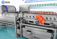 Industriële appel-, groente- en fruitwasserinstallatie, fruitborstelwasapparatuur voor het reinigen van uien