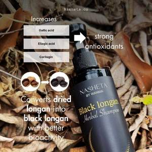 Champú Líquido de Extracto de Semillas Herbales Naturales Black Longan WANMAI29, Calmante para el Cuero Cabelludo Sensible, Antioxidante, Protección del Color - Product Image 2