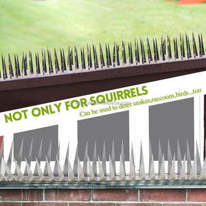 Fabriek Groothandel Goedkope Prijs Bron Tuin Anti-Vuil Roestvrij Staal Spike Anti Vogel Duif Spikes - Product Image 3