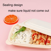 Boîtes à bento rectangulaires jetables de 500, 650, 750 et 1000 ml, écologiques, sans BPA, biodégradables, pour emporter les repas