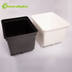 Invernadero comercial usado Cubos hidropónicos holandeses baratos Cubo de plástico Bato para la venta - Product Image 3
