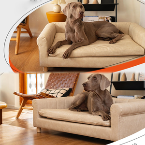 Holz-Haustierbett für Große Hunde & Katzen, Abnehmbares Waschbares Erhöhtes Hundebett mit Holzrahmen, Ganzjahres-Haustierbett - Product Image 5