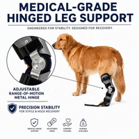 Sangle réglable pour support de cheville de chien en polyester, légère, durable, absorbe la pression des pas, protège les plaies et la friction, favorise la guérison des chiens