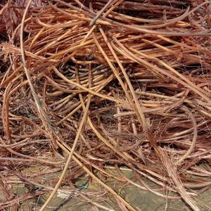 Fabricante líder de alambre de cobre chatarra 99.99%, proveedor verificado con equipo de control de calidad y respuesta rápida - Product Image 4