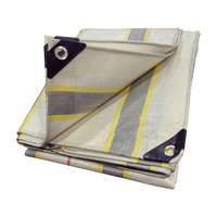Bâches en poly transparent haute résistance 4X5M conceptions attrayantes entièrement protégées contre les UV pour une utilisation en extérieur-pour la serre de couverture de camping en toile