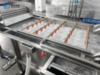 Commerciële apparatuur voor het wassen en reinigen van fruit en groenten, geschikt voor fruit- en groenteverwerkingsbedrijven