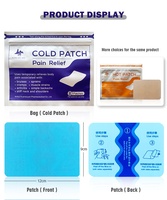 8 pièces/sac, patch froid à base de plantes chinoises pour le corps, le genou, l'épaule, les articulations, patch apaisant